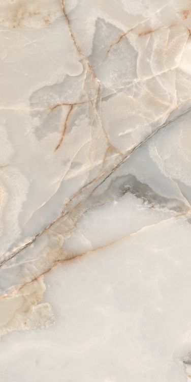Reves Noisette Matte 24 x 48